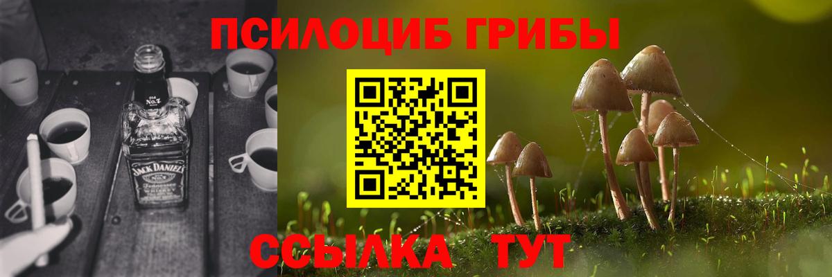 Кирово-Чепецк  Псилоцибиновые грибы Cubensis  Вход с VPN  Псилоцибиновые грибы мицелий 