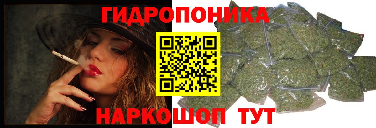 Кирово-Чепецк  Каннабис OG Kush  Вход с VPN  Бошки марихуана семена 